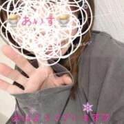 ヒメ日記 2025/03/31 07:28 投稿 あいす 柏人妻花壇