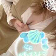 ヒメ日記 2025/04/01 17:24 投稿 あいす 柏人妻花壇