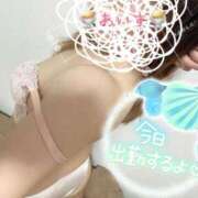 ヒメ日記 2025/04/02 12:44 投稿 あいす 柏人妻花壇