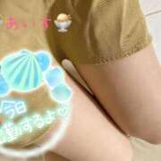 ヒメ日記 2025/04/11 09:29 投稿 あいす 柏人妻花壇