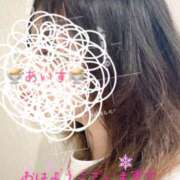 ヒメ日記 2025/04/25 08:14 投稿 あいす 柏人妻花壇