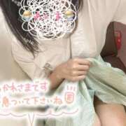 ヒメ日記 2025/05/21 19:46 投稿 あいす 柏人妻花壇