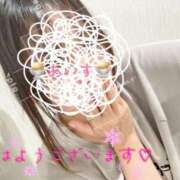 ヒメ日記 2025/05/28 07:58 投稿 あいす 柏人妻花壇