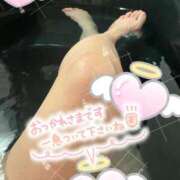 ヒメ日記 2025/05/30 00:09 投稿 あいす 柏人妻花壇