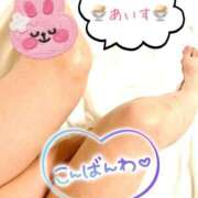 ヒメ日記 2025/09/24 09:22 投稿 あいす 柏人妻花壇