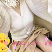 ヒメ日記 2025/10/08 09:29 投稿 あいす 柏人妻花壇