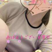 ヒメ日記 2026/05/12 09:19 投稿 あいす 柏人妻花壇