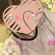 ヒメ日記 2026/05/26 09:30 投稿 あいす 柏人妻花壇