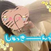 ヒメ日記 2026/05/28 09:09 投稿 あいす 柏人妻花壇