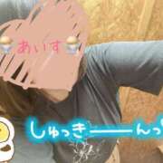 あいす 🌼やっぴーッ 柏人妻花壇