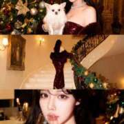 ヒメ日記 2025/12/17 08:01 投稿 りの Versailles