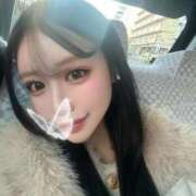 ヒメ日記 2026/02/20 08:32 投稿 りの Versailles