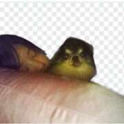 ヒメ日記 2025/05/12 12:49 投稿 みあ ニューヨーカー