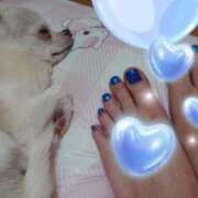 ヒメ日記 2025/07/09 15:54 投稿 みあ ニューヨーカー