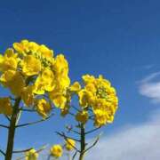 ヒメ日記 2025/03/14 19:12 投稿 のら ぽっちゃり巨乳専門店 町田相模原ちゃんこ