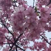 ヒメ日記 2025/03/15 18:30 投稿 のら ぽっちゃり巨乳専門店 町田相模原ちゃんこ