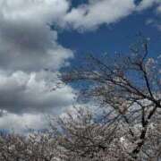 のら ٍٛ  .  ̫ . ٛ ٍ  ◝✩ ぽっちゃり巨乳専門店 町田相模原ちゃんこ