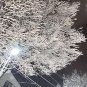 ヒメ日記 2026/02/23 04:18 投稿 ひとみ ニューヨーカー