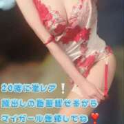 ヒメ日記 2025/03/10 12:15 投稿 なくる 風神会館新宿店