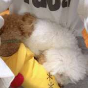 ヒメ日記 2025/03/10 07:29 投稿 AYA『アヤ』 GG