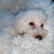 ヒメ日記 2025/06/04 09:32 投稿 AYA『アヤ』 GG