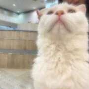 ヒメ日記 2025/11/15 00:59 投稿 AYA『アヤ』 GG