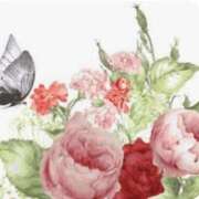 ヒメ日記 2025/04/17 09:55 投稿 ひとみ 待ちナビ