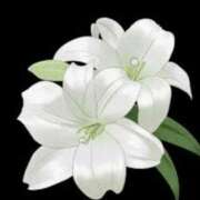 ヒメ日記 2025/04/20 10:15 投稿 ひとみ 待ちナビ