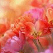 ヒメ日記 2025/05/17 22:25 投稿 ひとみ 待ちナビ