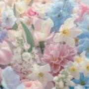 ヒメ日記 2025/07/01 13:06 投稿 ひとみ 待ちナビ