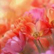 ヒメ日記 2025/09/07 20:55 投稿 ひとみ 待ちナビ