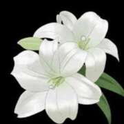 ヒメ日記 2025/09/15 18:31 投稿 ひとみ 待ちナビ