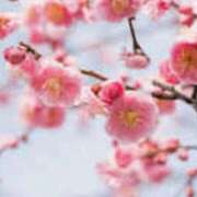 ヒメ日記 2026/02/08 21:05 投稿 ひとみ 待ちナビ