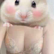 ヒメ日記 2025/05/16 13:33 投稿 篠原 ゆうき HANA-okinawa-