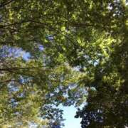 ヒメ日記 2025/12/22 16:05 投稿 ひな ミルキーラテ