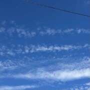 ひな いい天気☀️ ミルキーラテ