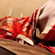 ヒメ日記 2025/04/19 11:57 投稿 むぎ 三つ乱本館