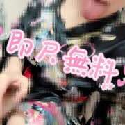 ヒメ日記 2025/05/22 07:17 投稿 むぎ 三つ乱本館