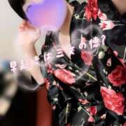 ヒメ日記 2025/06/24 15:17 投稿 むぎ 三つ乱本館