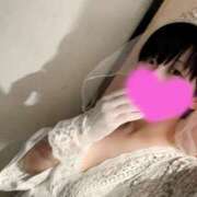 ヒメ日記 2025/06/26 16:02 投稿 むぎ 三つ乱本館