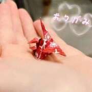 ヒメ日記 2025/07/12 19:37 投稿 むぎ 三つ乱本館