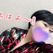 ヒメ日記 2025/07/29 05:37 投稿 むぎ 三つ乱本館