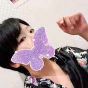 ヒメ日記 2025/09/12 00:02 投稿 むぎ 三つ乱本館