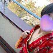 ヒメ日記 2025/10/29 14:07 投稿 むぎ 三つ乱本館