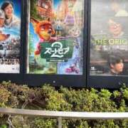 ヒメ日記 2025/12/09 11:07 投稿 むぎ 三つ乱本館