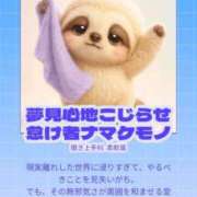 ヒメ日記 2025/12/29 11:47 投稿 むぎ 三つ乱本館