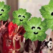 ヒメ日記 2026/01/28 23:47 投稿 むぎ 三つ乱本館