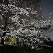 ヒメ日記 2026/03/28 20:17 投稿 むぎ 三つ乱本館