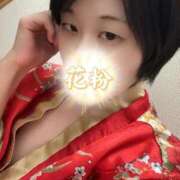 ヒメ日記 2026/03/29 15:07 投稿 むぎ 三つ乱本館