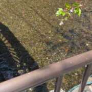 ヒメ日記 2026/04/08 13:47 投稿 むぎ 三つ乱本館